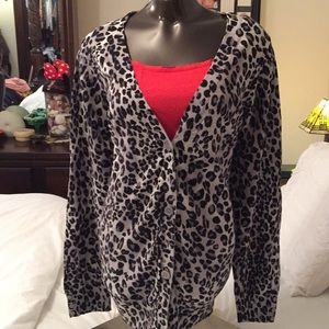 Lane Bryant sweater cami set
